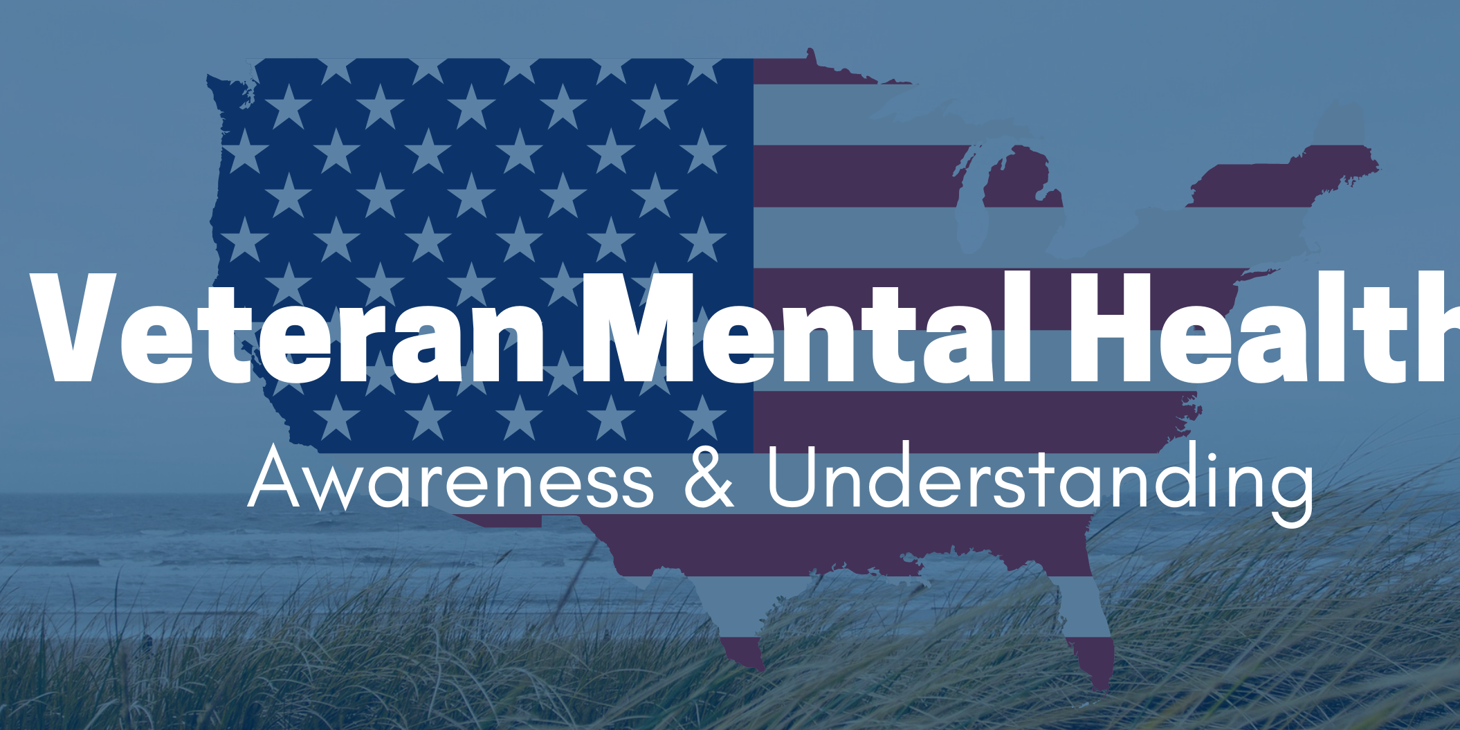 Veteran mental health awareness graphic